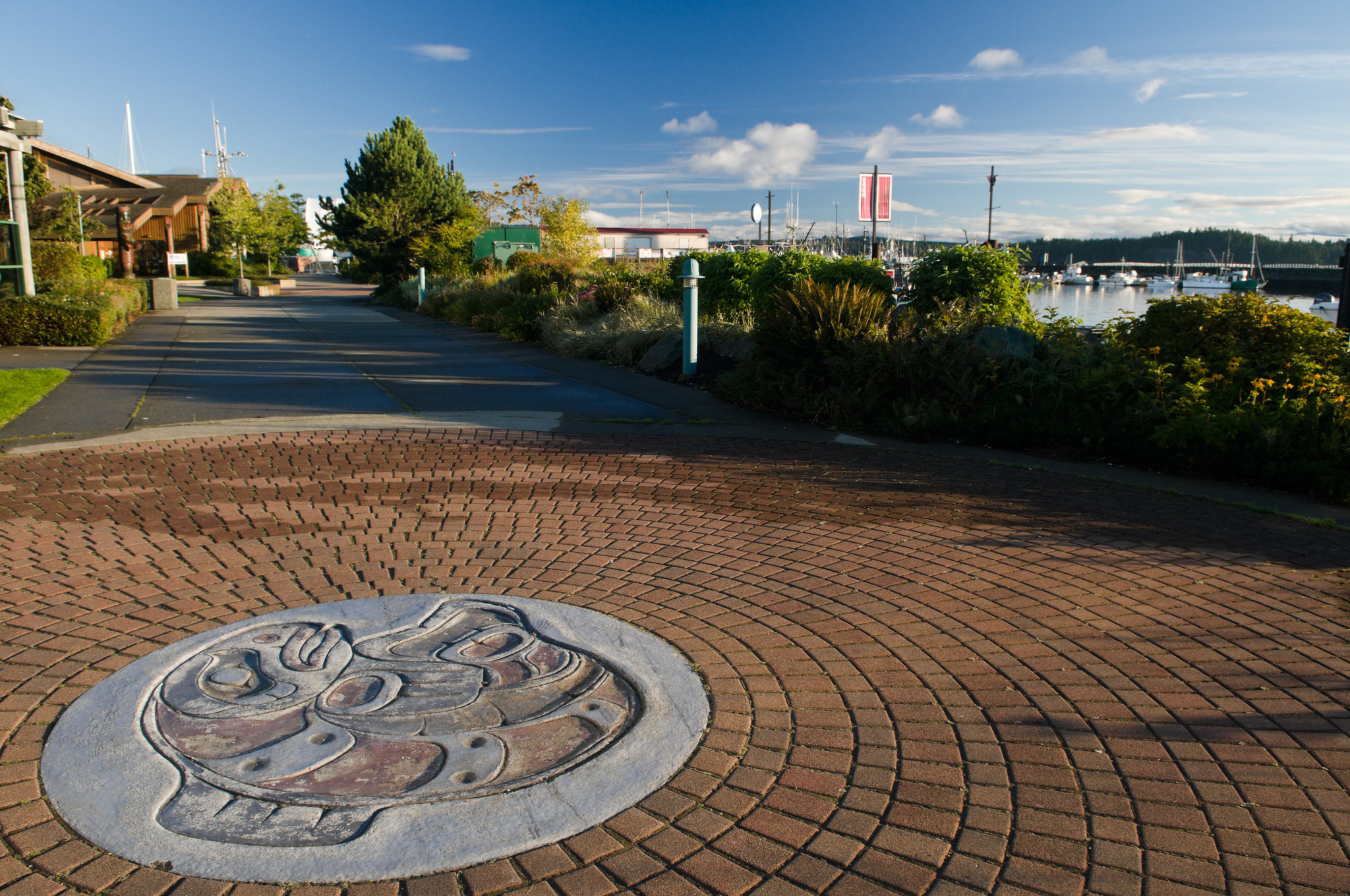 Vancouver Island North Picture BC