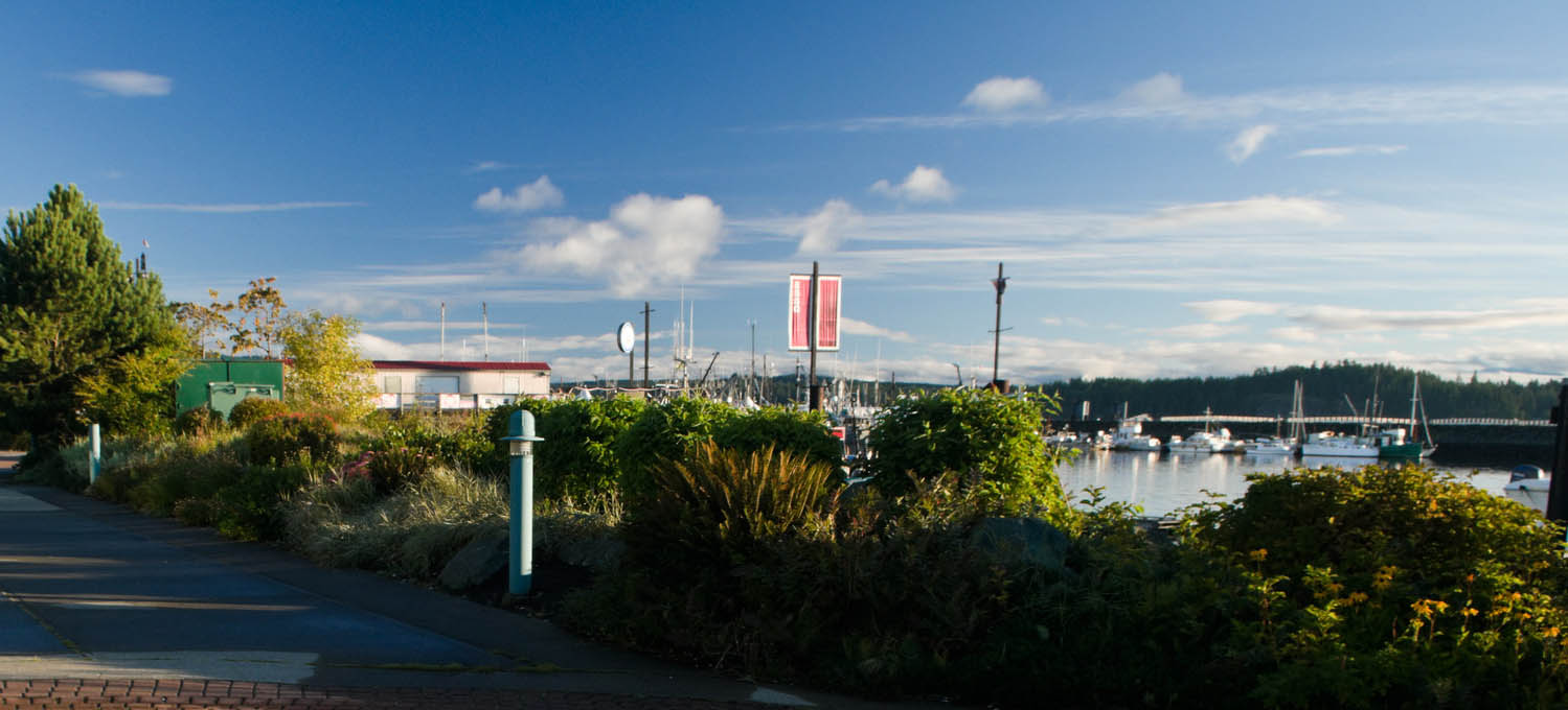 Vancouver Island North Chapter