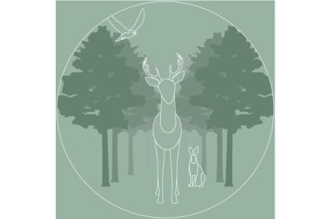CDFCP Webinar #6
