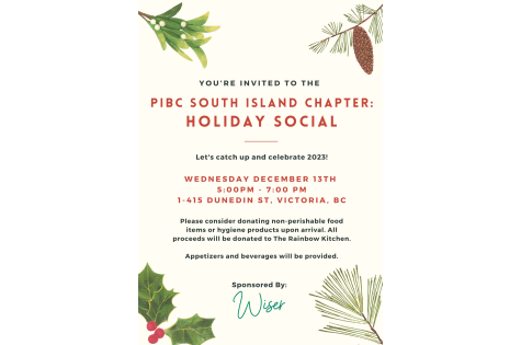 VI South Holiday Social