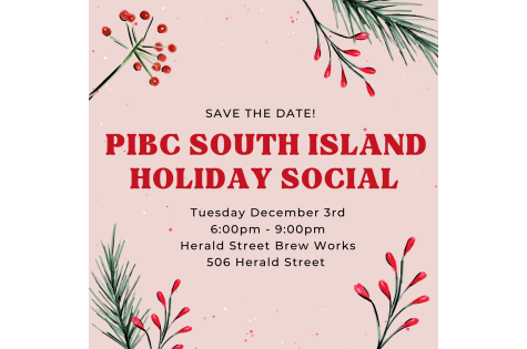 VI South Holiday Social